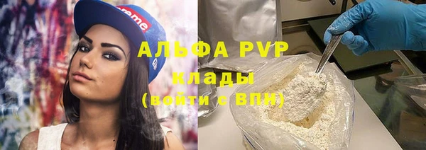 гашик Кодинск