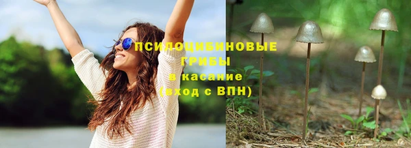 гашик Кодинск