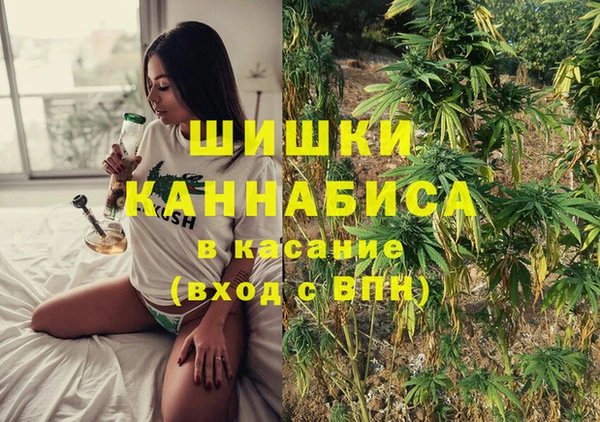 гашик Кодинск