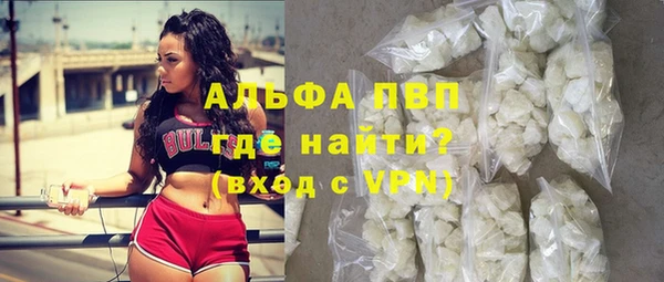 гашик Кодинск